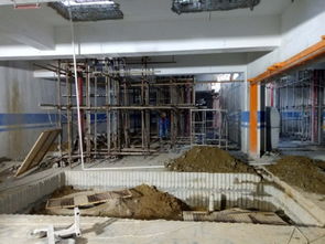 建筑材料的演進(jìn)與未來(lái)展望